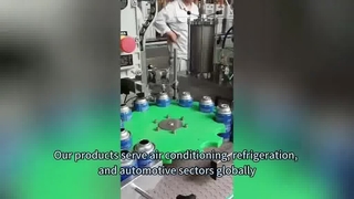 340g R134a Refrigerant Gas for Automotive AC System Supplement