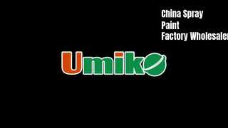 China Affordable Spray Paint for Household Repair Easy to Use and DIYer